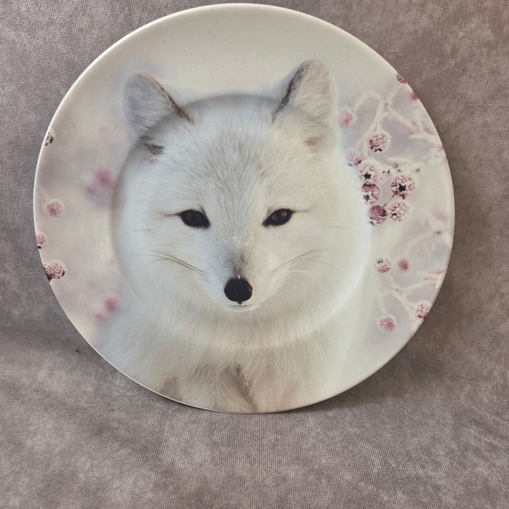 Robert Stanley Home Collection Arctic Fox Ceramic Plate Winter 8in